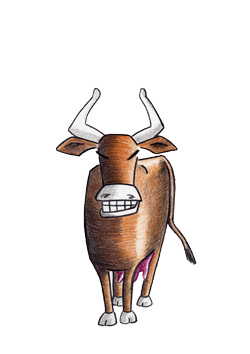 dessin de vache